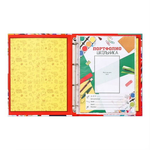 Папка школьная на кольцах «Портфолио школьника», 10 листов-разделителей, 24.5×32 см