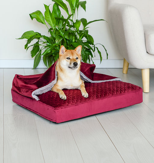 ВИА Лежак-норка "Rivoli", прямоугольный, со съемным чехлом, 60х50 см, бордовый 56та89 Не заказывать