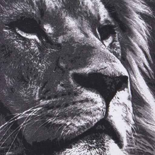 Набор кухонных полотенец Доляна. Самый лучший мужчина, 35?60 см - 4 шт., 100% хлопок, 160 г/м?