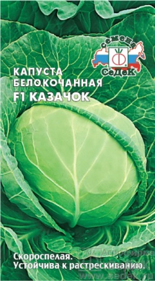Капуста б/к Казачок F1 0,1г (СеДеК)