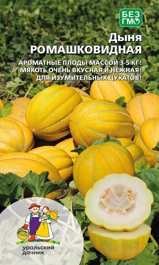 Дыня РОМАШКОВИДНАЯ Ароматные плоды массой 3-5 кг! Мякоть очень вкусная и нежная! Для изумительных цукатов!