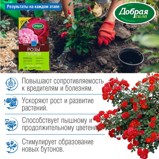 Компл. мин. удобр. "Добрая сила" Розы-Пионы, пак.0,9кг