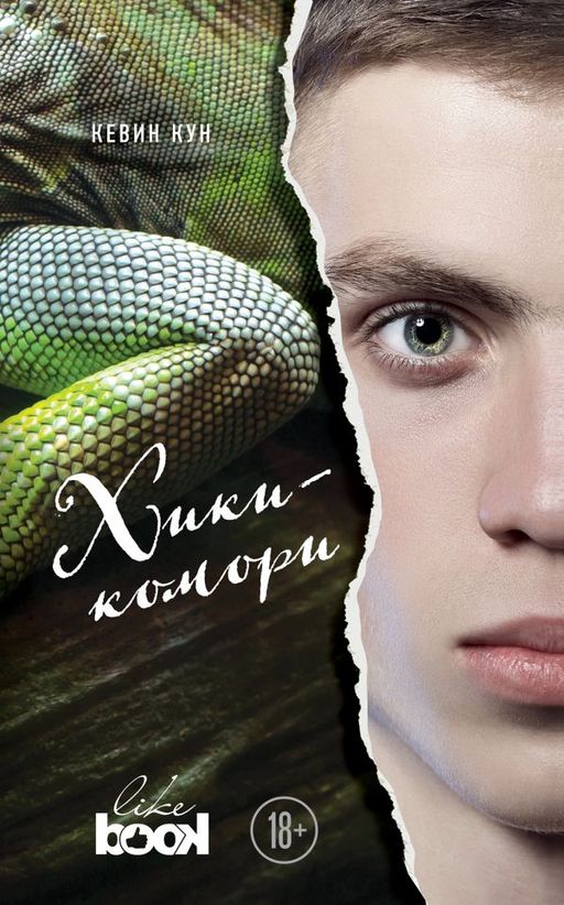 Комплект из книг: За радугой + Хикикомори