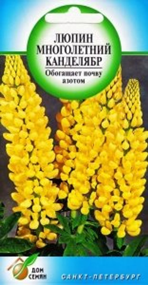 Люпин мн.Канделябр