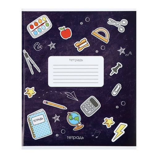 Комплект тетрадей из 10 штук Calligrata Школа, 12 листов в линейку, обложка мелованный картон, ВД-лак, блок офсет, белизна 95%, 4 вида по 2 штуки + 2 МИКС  фото 6