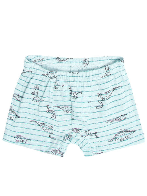 Трусы боксеры для мальчика Donella