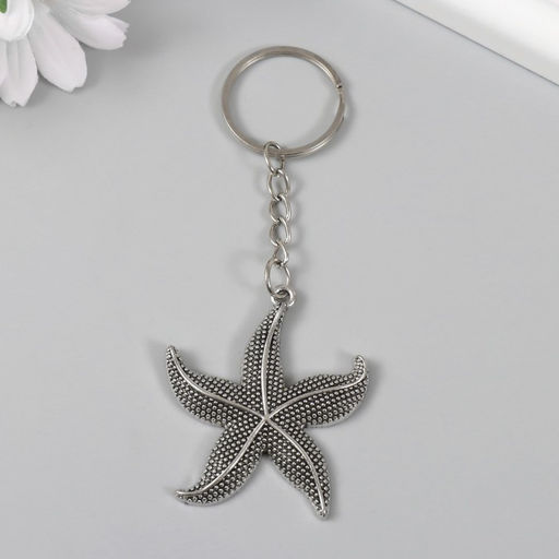 Цена за 12 шт. Брелок для ключей на кольце «Морская звезда», металл, 4.8×4.3 см