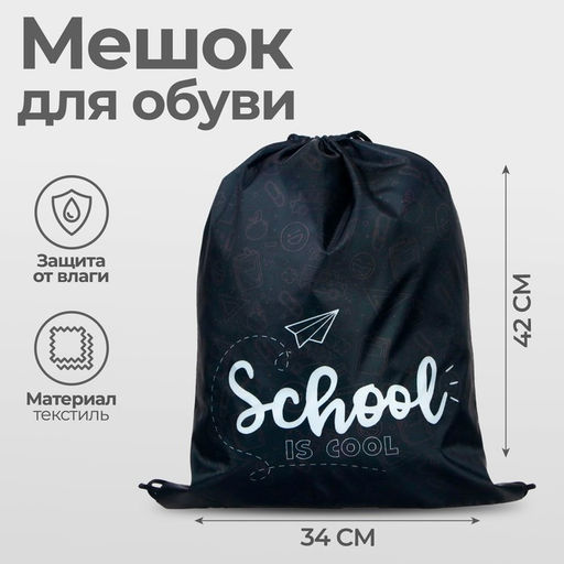Мешок для обуви «Школа» (мягкий полиэстер, плотность 210D) 42×34 см