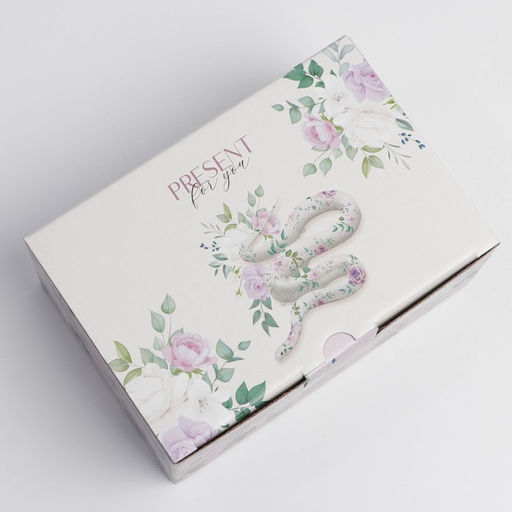 Коробка‒пенал, упаковка подарочная, «Present for you», 22 х 15 х 10 см