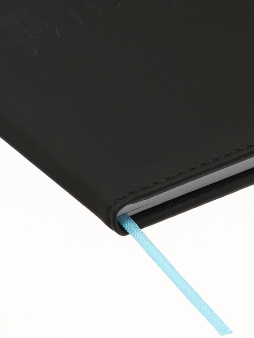 Дневник школьный «Рыцарь» 1-11 класс, ляссе, обложка искусственная кожа, чёрный