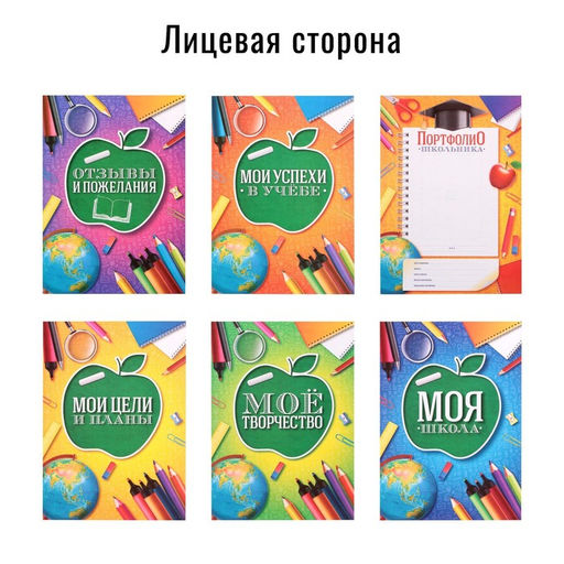 Папка школьная на кольцах «Портфолио школьника», 6 листов-разделителей, 24.5×32 см.