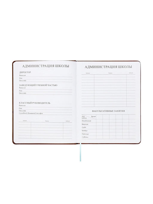 Дневник школьный 1-11 класс, лассе, обложка искуственная кожа коричневая, Рыцарь