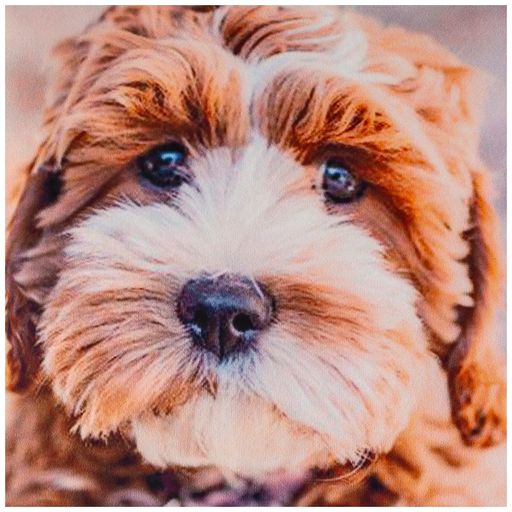 НАВОЛОЧКА 35*35 СМ, 100% П/Э, ТКАНЬ, ПЕЧАТЬ - Lefard фото 2