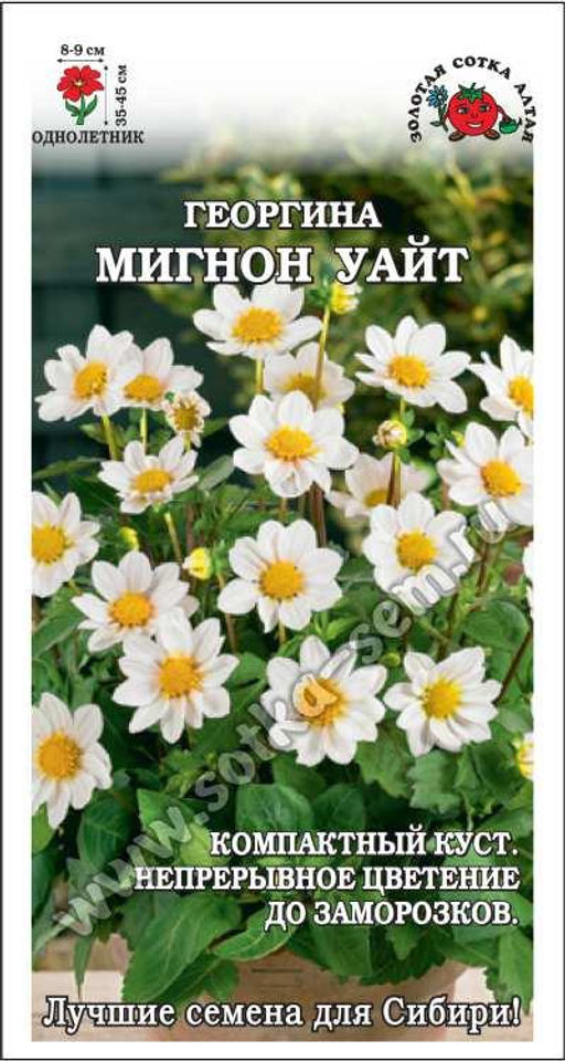 Георгина Мигнон Уайт 0,2г (Золотая сотка Алтая)