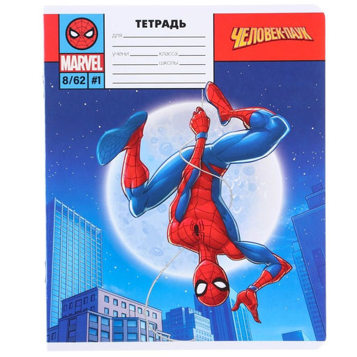 Цена за 20 шт. Тетрадь в линейку 12 листов, 5 видов МИКС, обложка мелованный картон,