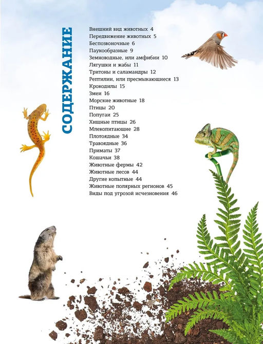 Мир животных: от актинии до ягуара. - Махаон фото 3
