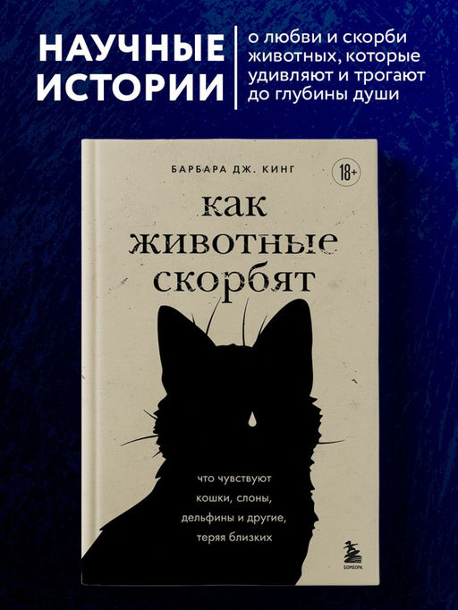 Как животные скорбят. Что чувствуют кошки, слоны, дельфины и другие, теряя близких