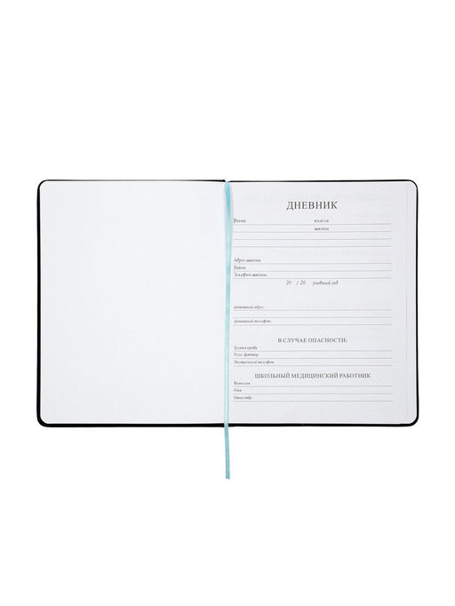 Дневник школьный «Рыцарь» 1-11 класс, ляссе, обложка искусственная кожа, чёрный