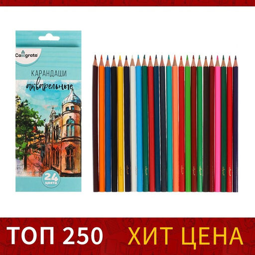 Карандаши акварельные 24 цвета, заточенные, в картонной коробке - Calligrata фото 16