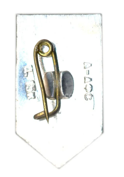 Значок Алма-Ата