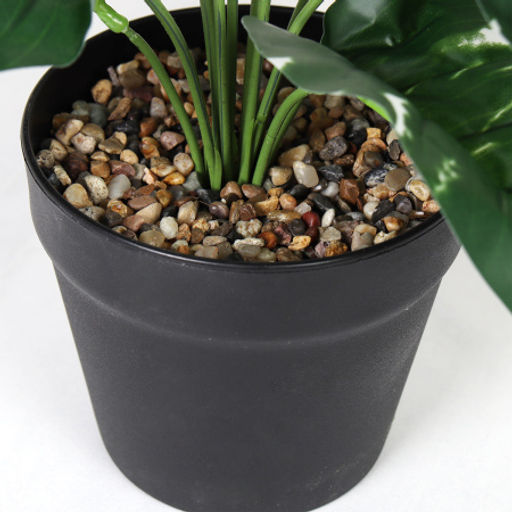 Цветочная композиция Сциндапсус 40 см / ZH-009 /уп 48/ - Галеонтрейд фото 4