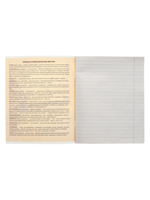 Тетрадь предметная Металл, 48 листов в линейку Литература со справочным материалом, обложка мелованный картон, блок №2, белизна 75% (серые листы) - Calligrata фото 6