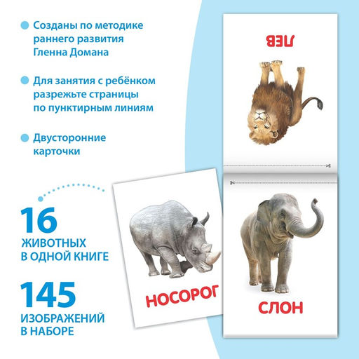 Книги Карточки Домана на скрепке, набор, 8 шт. по 20 стр. - Буква-ленд фото 2