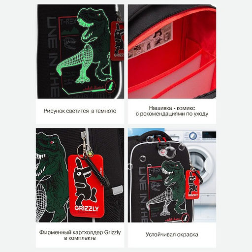 RAw-497-10 Рюкзак школьный - Grizzly фото 43