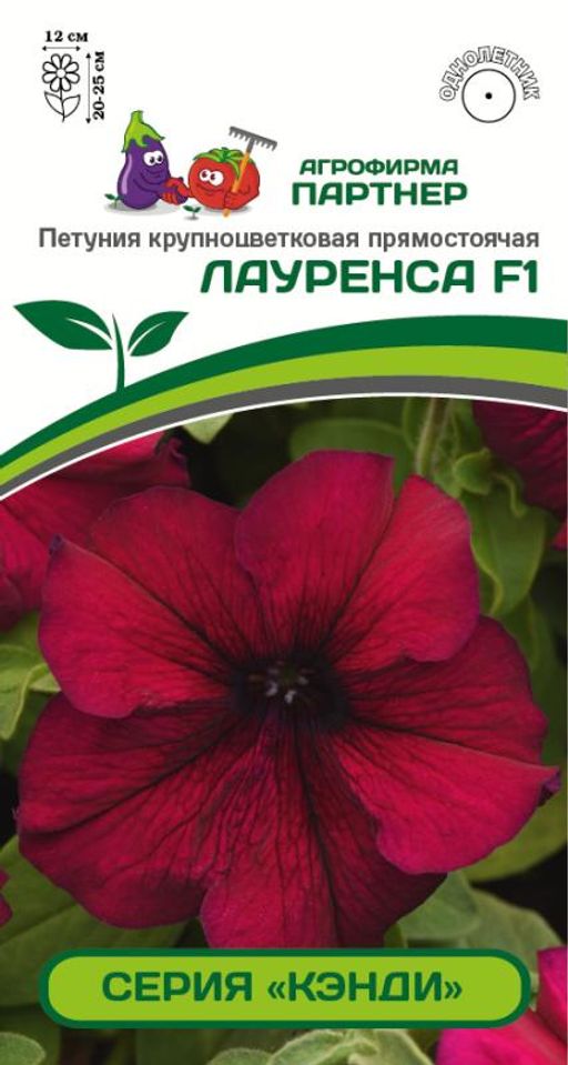 Петуния "Кэнди" Лауренса прямостоячая бургунди