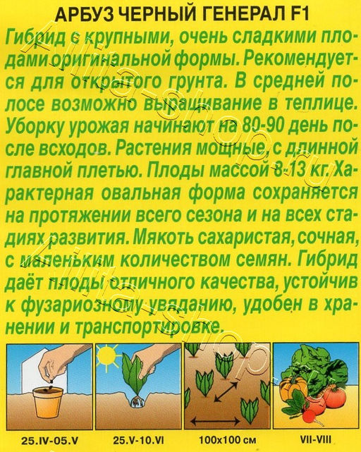 Арбуз Черный генерал F1 5шт. (Аэлита)
