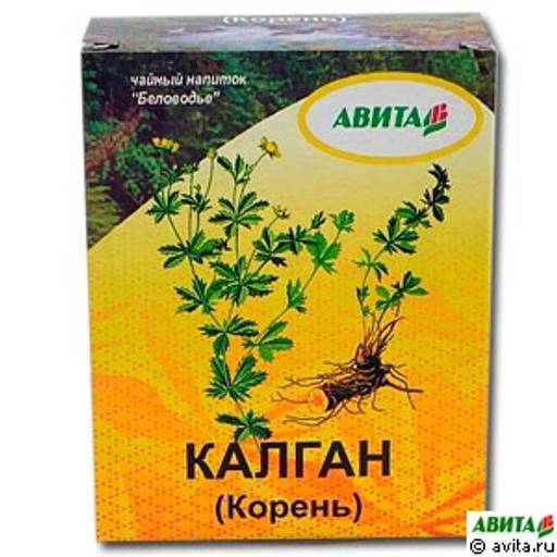 Корень Калгана Купить В Спб
