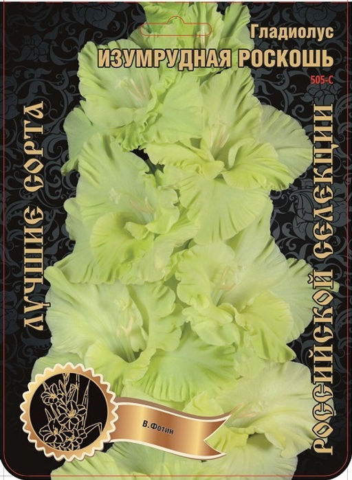 Гладиолус Изумрудная Роскошь 505,Фотин 1 р-р 7шт (Ф)