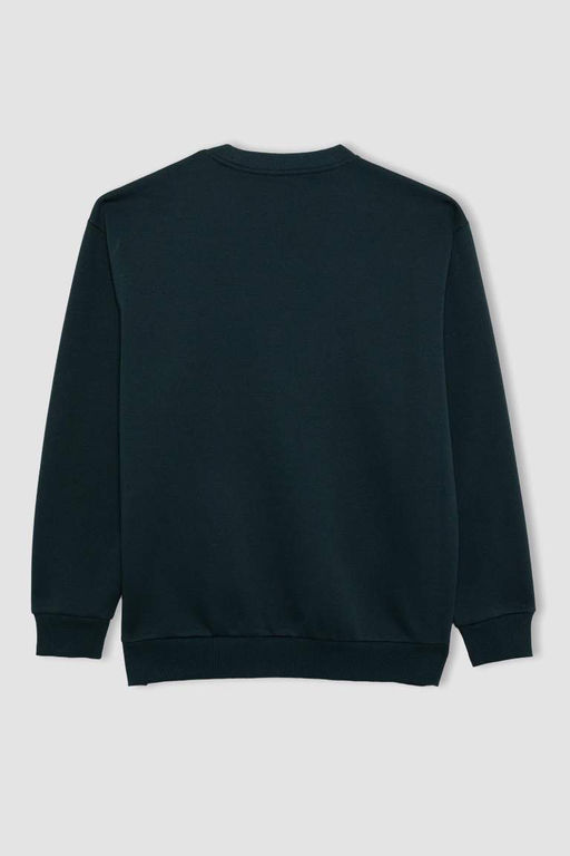 Базовый свитшот Oversize с круглым вырезом - Defacto фото 9
