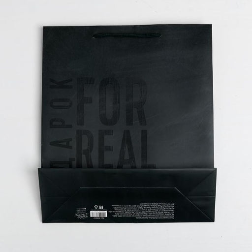 Цена за 2 шт. Пакет подарочный ламинированный, упаковка, «Мужская воля», M 25.5 х 30 х 9 см