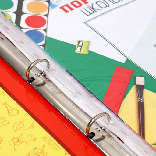 Папка школьная на кольцах «Портфолио школьника», 10 листов-разделителей, 24.5×32 см