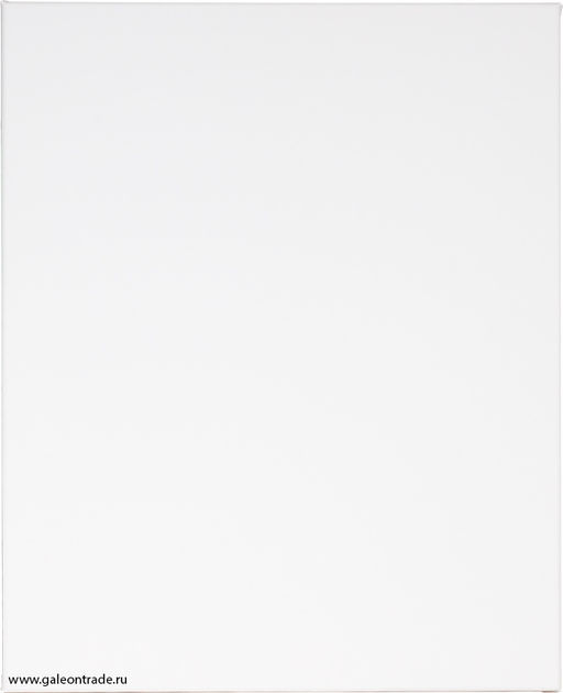 Холст 40х60 грунтованный на подрамнике для рисования