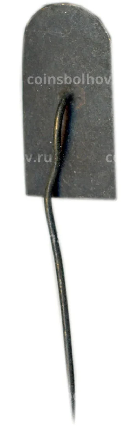 Значок Каунас