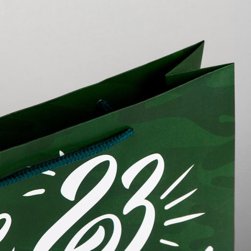 Цена за 2 шт. Пакет подарочный ламинированный, упаковка, «Броня крепка», M 26 х 30 х 9 см