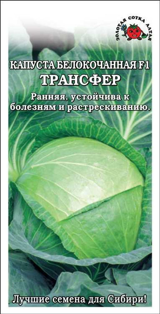 Капуста б/к Трансфер F1 0,2г (Золотая сотка Алтая)