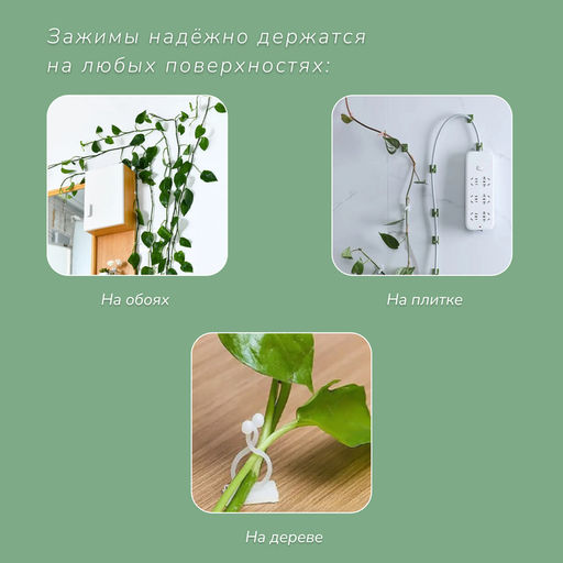 Крепления для вьющихся растений, настенные, самоклеящиеся, Улитка, d=10 мм, набор 10 шт., Greengo фото 5