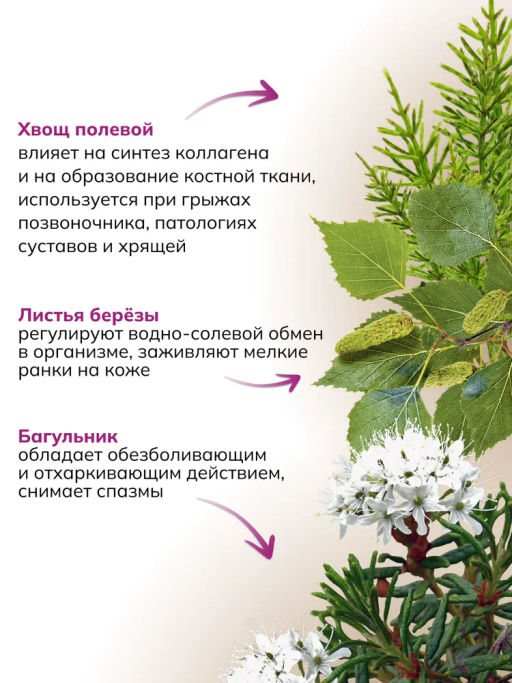 Банный сбор ФИТОПАР-6 Остеохондрозный 500 г Алфит 1231  фото 6