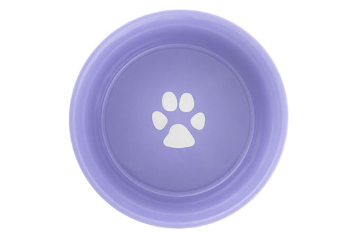 Набор 2 мисок для домашних питомцев 400 мл 13,5*13,5*5 см Лапка на сиреневом и сердечки керамика - Elan gallery фото 6