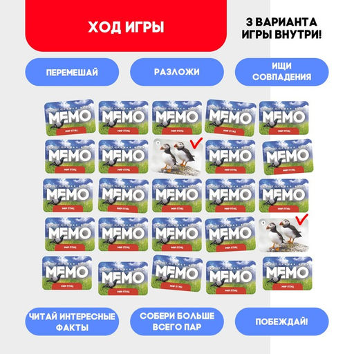 Мемо Мир птиц - Лас играс kids фото 5