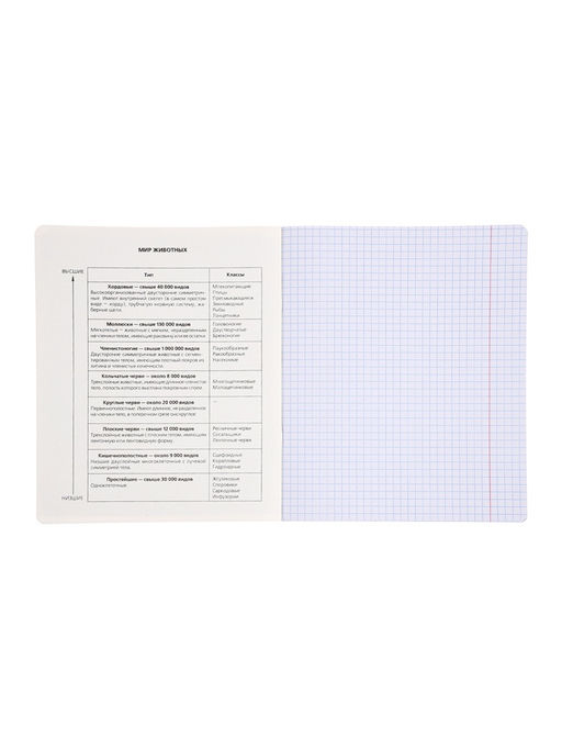 Комплект 12 предметных тетрадей «Градиент», 48 листов, справочная информация, 60 г