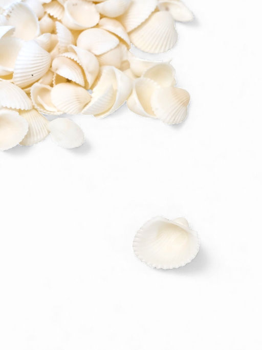 Набор ракушек декоративных 1,5-3 см, 100  г