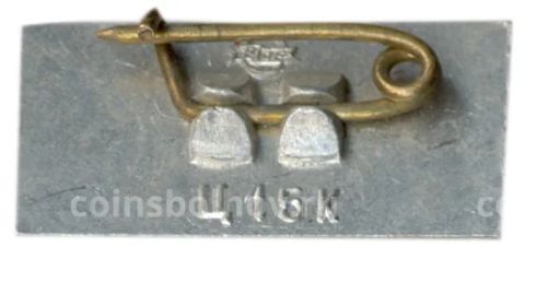 Значок Саласпилс