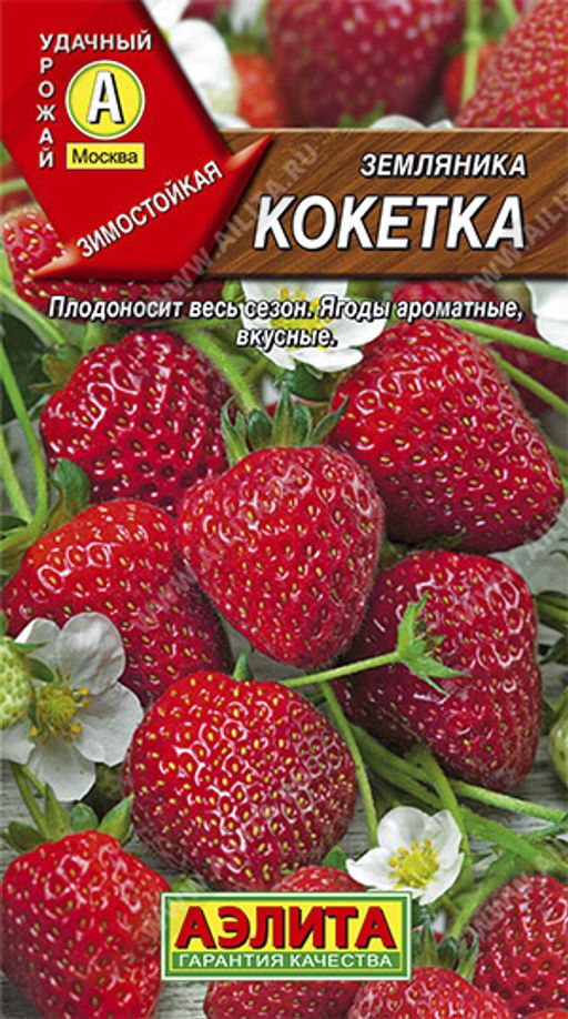 Земляника ремонтантная крупноплодная Кокетка (2025)