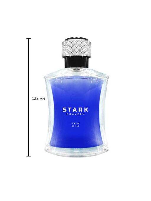 Dilis STARK BRAVERY Туалетная вода для мужчин 100 мл  фото 3