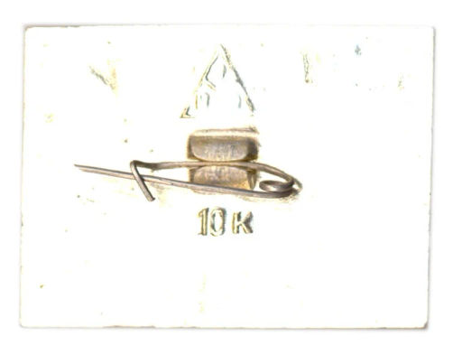 Значок Грифон