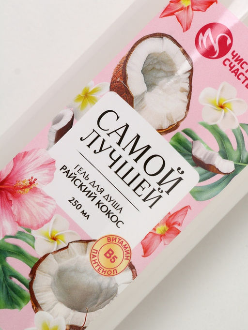 Подарочный набор «Самой милой», гель для душа, 250 мл и бомбочки для ванны, 4×40 Чистое счастье